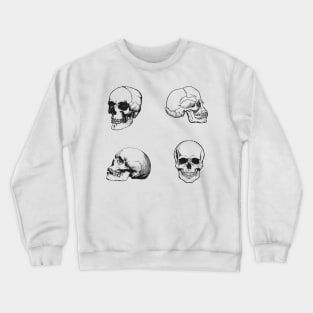 Anatomy Skulls Pack Crewneck Sweatshirt